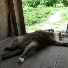 Cross stitch pattern: #2426442