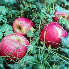 Cross stitch pattern: #2426453