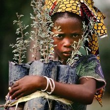 Cross stitch pattern: #2427131