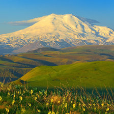 Cross stitch pattern: #2427132