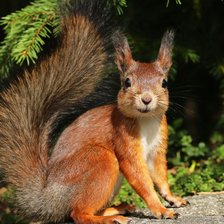 Cross stitch pattern: #2427134