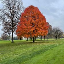 Cross stitch pattern: #2427399