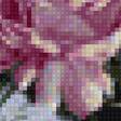 Preview of cross stitch pattern: #2429549