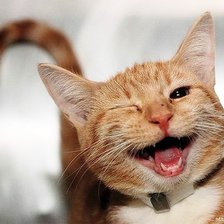 Cross stitch pattern: #2429667