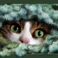 Cross stitch pattern: #2429668