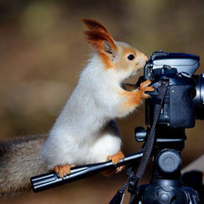 Cross stitch pattern: #2429669