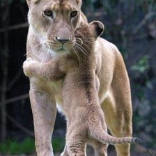 Cross stitch pattern: #2430397