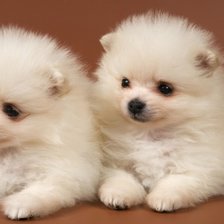 Cross stitch pattern: #2430400