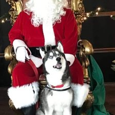 Cross stitch pattern: #2430849