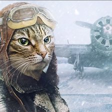 Cross stitch pattern: #2431188