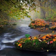 Cross stitch pattern: #2432419