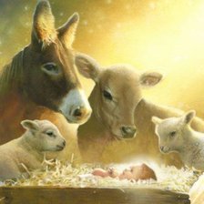 Cross stitch pattern: #2434346