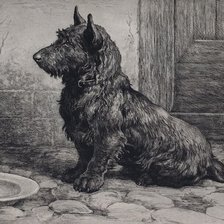 Cross stitch pattern: #2434673