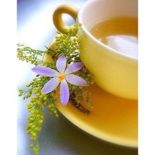 Cross stitch pattern: #2435766