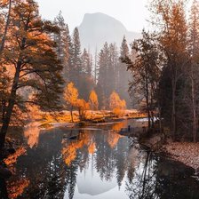 Cross stitch pattern: #2437090