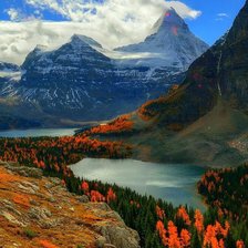 Cross stitch pattern: #2437284