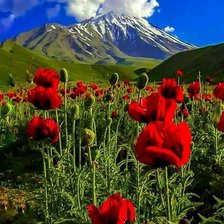 Cross stitch pattern: #2437293