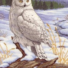 Cross stitch pattern: #2437905