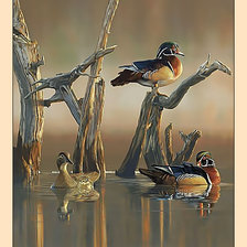 Cross stitch pattern: #2439140