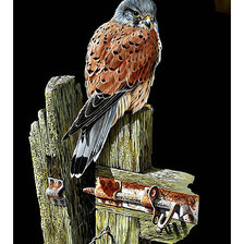 Cross stitch pattern: #2439174