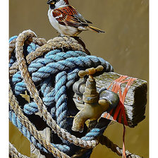 Cross stitch pattern: #2439180