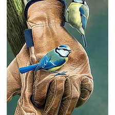 Cross stitch pattern: #2439182