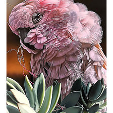 Cross stitch pattern: #2439187