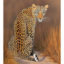 Cross stitch pattern: #2439216