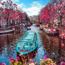 Cross stitch pattern: #2444454