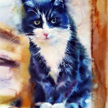 Cross stitch pattern: #2444455