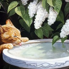 Cross stitch pattern: #2445608