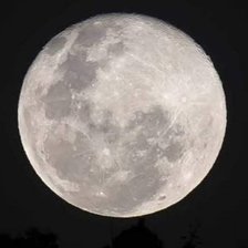 Cross stitch pattern: #2450181