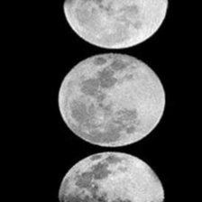 Cross stitch pattern: #2450183