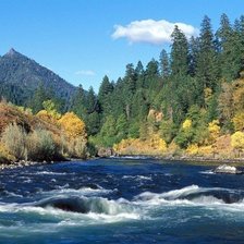 Cross stitch pattern: #2451129