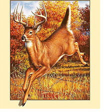 Source of cross stitch pattern: #2453374