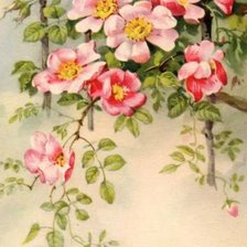 Cross stitch pattern: #2453632