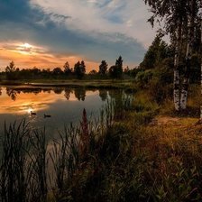 Cross stitch pattern: #2453764