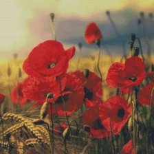 Cross stitch pattern: #2455376