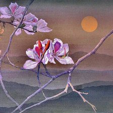 Cross stitch pattern: #2455394