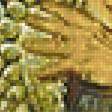 Preview of cross stitch pattern: #2455397
