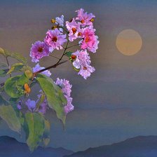 Cross stitch pattern: #2455404