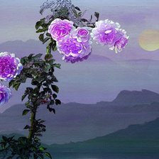 Cross stitch pattern: #2455405