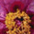 Preview of cross stitch pattern: #2455575