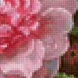 Preview of cross stitch pattern: #2456159