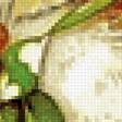 Preview of cross stitch pattern: #2460123