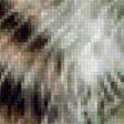 Preview of cross stitch pattern: #2460405