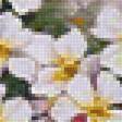 Preview of cross stitch pattern: #2462414