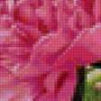 Preview of cross stitch pattern: #2464010