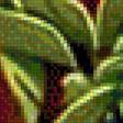 Preview of cross stitch pattern: #2464047