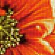 Preview of cross stitch pattern: #2464994